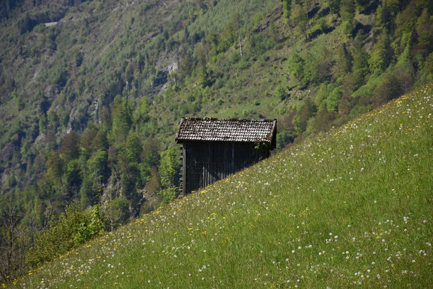 kaprun,schaufelberg,steilwiese,willow,flower meadow,steep,tree,cottage - Фото, изображение