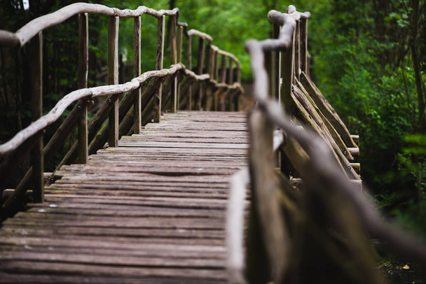 old wooden bridge in a deep forest - Фото, зображення