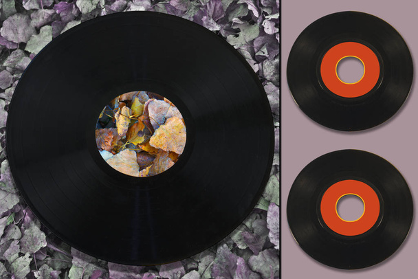 πολύχρωμη γεωμετρική σύνθεση σε φόντο νεκρών φύλλων, με δίσκους βινυλίου - Φωτογραφία, εικόνα