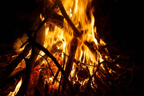 Camp fire burning in the night - Fotoğraf, Görsel
