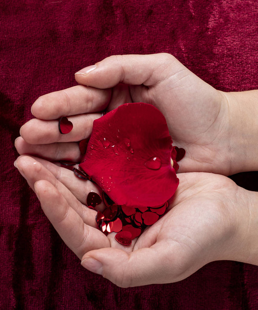 manos con corazones y petalos - Foto, Imagem
