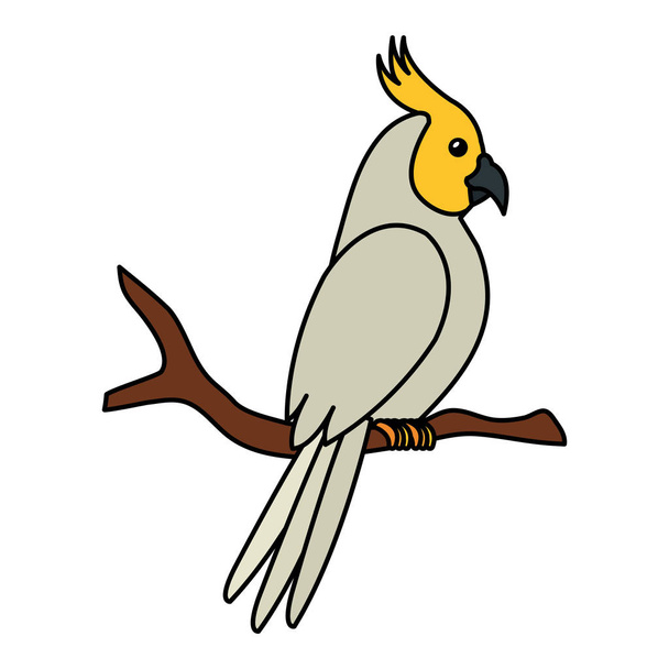 parrot bird in tree branch isolated icon - Vektor, kép