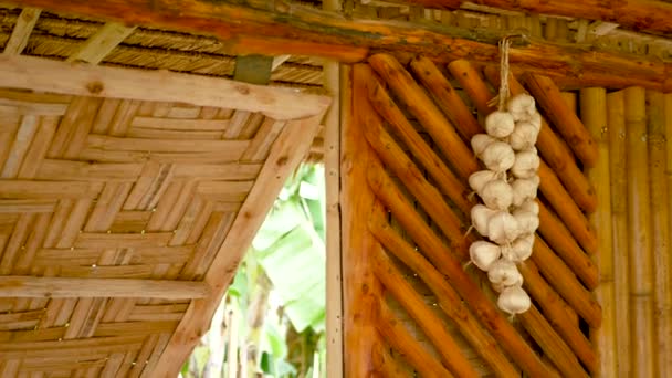 Valkosipulia seinällä. Joukko kuivattua valkosipulia roikkuu bambu seinään perinteisen Aasian talo - Materiaali, video