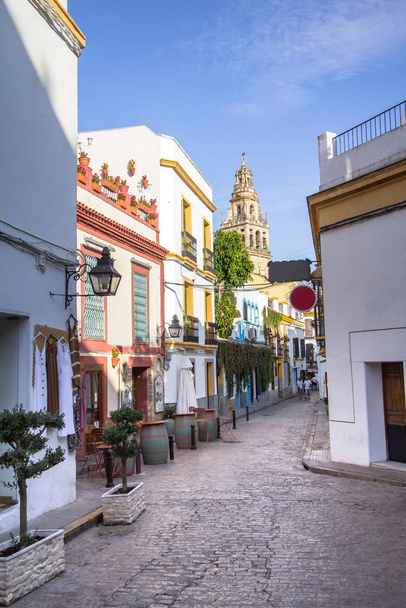 Ulice zdobené květinami, Cordoba, Španělsko - Fotografie, Obrázek
