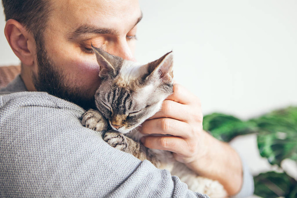 Man is kissing and cuddling his sweet and cute looking Devon Rex cat. Kitten feels happy to be with its owner.  Kitty sits in humans arms and is purring. Breed with special hypoallergenic, no low shedding fur - Foto, afbeelding