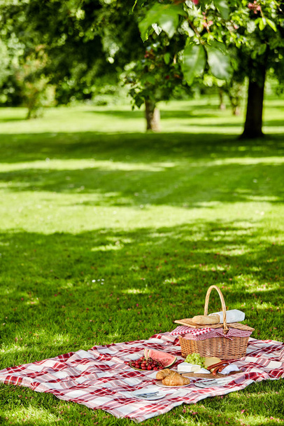 Enjoying a healthy outdoor spring picnic with a red and white checked cloth on green grass spread with fresh fruit, sausages cheese and bread alongside a wicker hamper - Photo, image