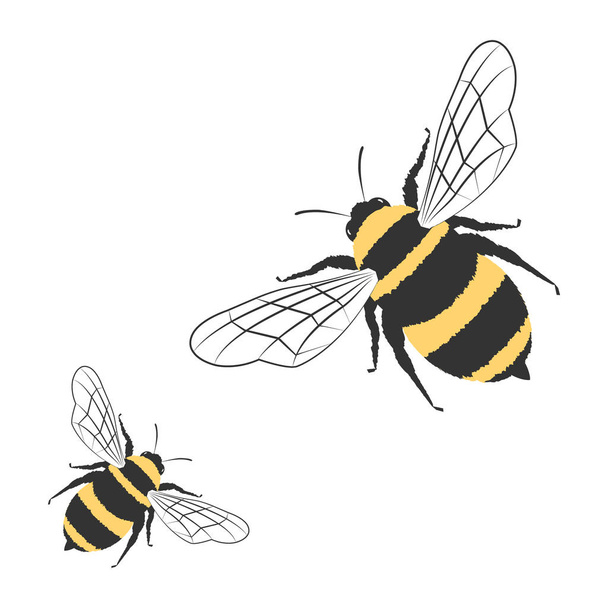 Μέλισσες που απομονώνονται σε λευκό φόντο - Διάνυσμα, εικόνα