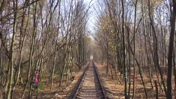 4K antenne. Vlieg over de spoorweg, genoemd als Love tunnel, Klevan stad, Oekraïne - Video
