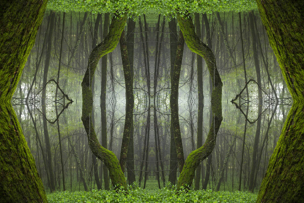 Psychedelický deštný prales, Symetrický kaleidoskop Abstraktní pozadí. - Fotografie, Obrázek