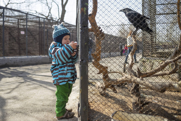 Kid watches animals and birds at the zoo. Child looks at animals in the zoo - Photo, Image