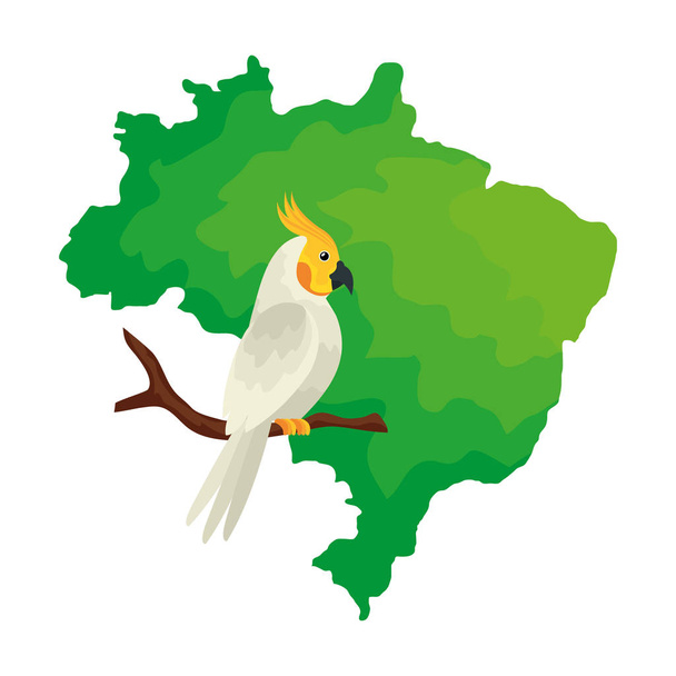 kaart van Brazilië met papegaai vogel geïsoleerd icoon - Vector, afbeelding