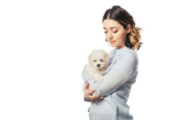attractive woman holding cute Havanese puppy isolated on white - Foto, imagen