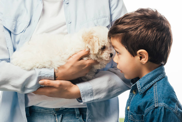 cropped view of woman holding cute Havanese puppy and son looking at it isolated on white - Photo, Image