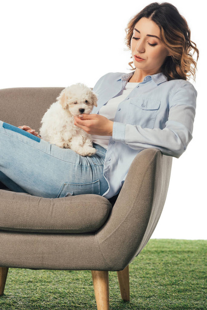 woman stroking Havanese puppy and sitting on armchair isolated on white - Zdjęcie, obraz
