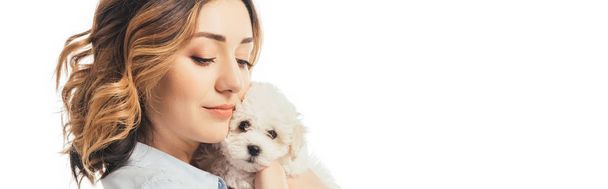 panoramic shot of woman holding Havanese puppy isolated on white - Foto, Bild