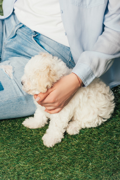 cropped view of woman with Havanese puppy sitting on grass  - Foto, Bild