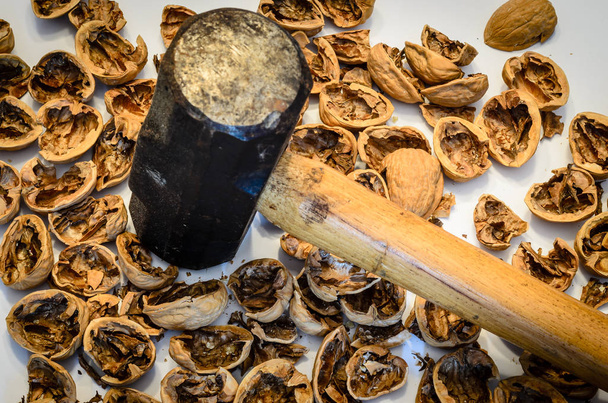 Vzpřímené Sledgehammer obklopen drcené vlašské ořechy - Fotografie, Obrázek