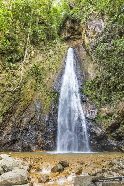 The Milton (Syndicate) Falls is located on the island of Dominica in the West Indies in deep rainforest. - Zdjęcie, obraz
