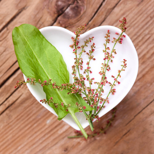 homeopathy and cooking with herbs,sorrel - Φωτογραφία, εικόνα