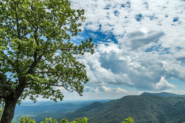 A view of the North Carolina countryside from the Blue Ridge Parkway - Valokuva, kuva