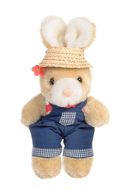 A plush toy rabbit wearing a blue overall and a straw hat. A red flower on its head. Isolated on white background. - Zdjęcie, obraz