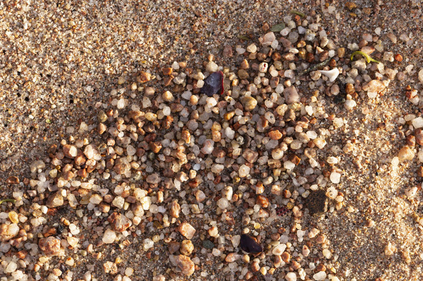 De petits cailloux forment le fond du littoral. Sable multicolore grossier
. - Photo, image