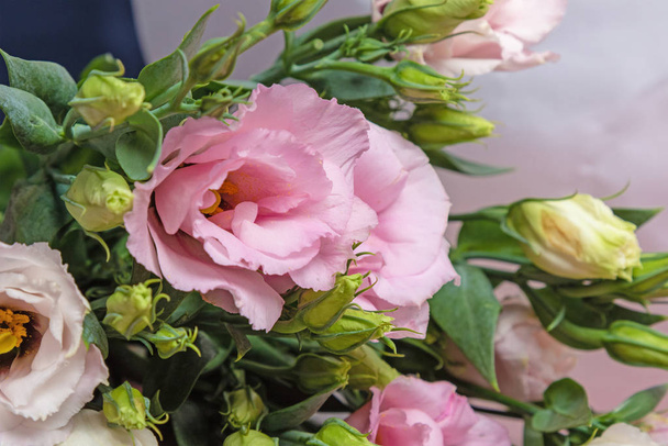Kwiaciarnia tło kwiatów eustoma. Pąki i kwiaty róży bez cierni  - Zdjęcie, obraz