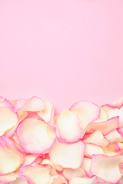 Background of beautiful white rose petals pink color with copy space. Close up. - Valokuva, kuva