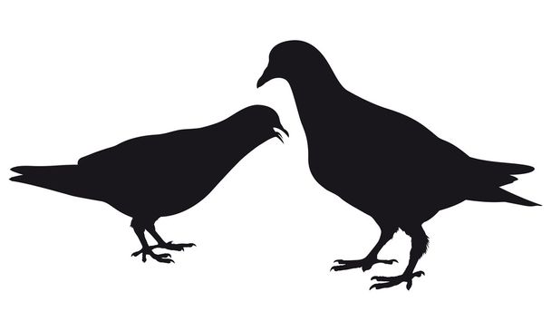 Pigeon. silhouette. Vecteur
 - Vecteur, image