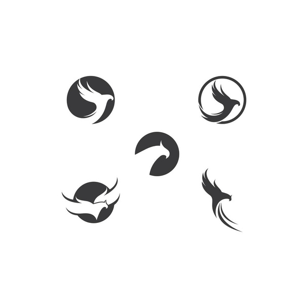 Vorlage für das Logo des Falkenadlers  - Vektor, Bild