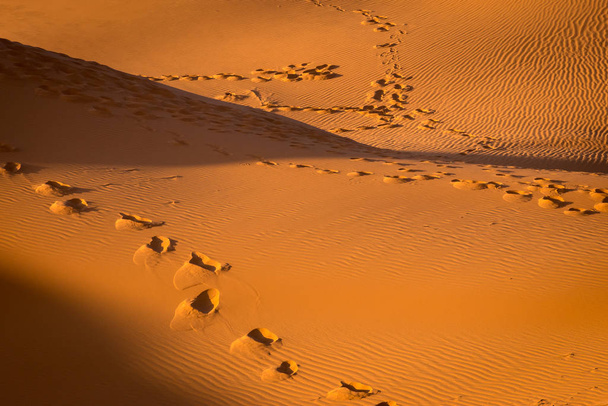 Ślady stóp na piasku, Sahara, Merzouga, Maroko - Zdjęcie, obraz