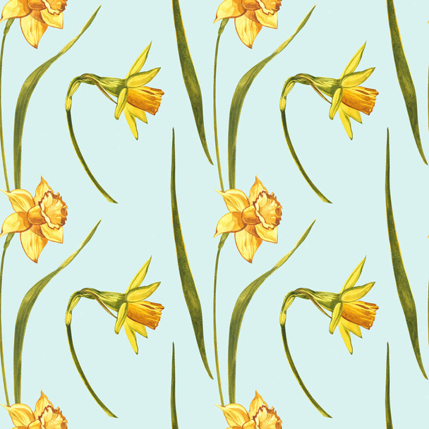 Watercolor Narcissus. Wild flower set isolated on white. Botanical watercolor illustration, yellow narcissus bouquet, rustic flowers. Watercolor illustration on white background. Set of drawing floral - Photo, Image