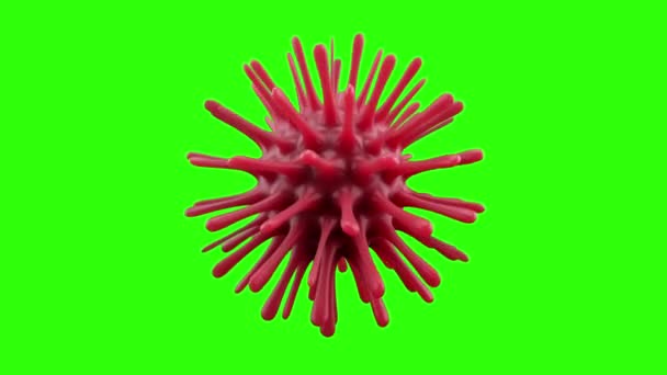 Ένα θανατηφόρο βακτήριο coronavirus κάτω από ένα μικροσκόπιο. Παθογόνο ξέσπασμα βακτηρίου και ιού, ασθένειες που προκαλούν μικροοργανισμούς όπως ο ιός του Coronavirus. Απρόσκοπτη βρόχο 3d καθιστούν. Πράσινη οθόνη - Πλάνα, βίντεο