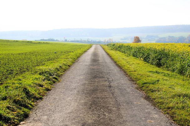 road and nature landscape, travel - 写真・画像