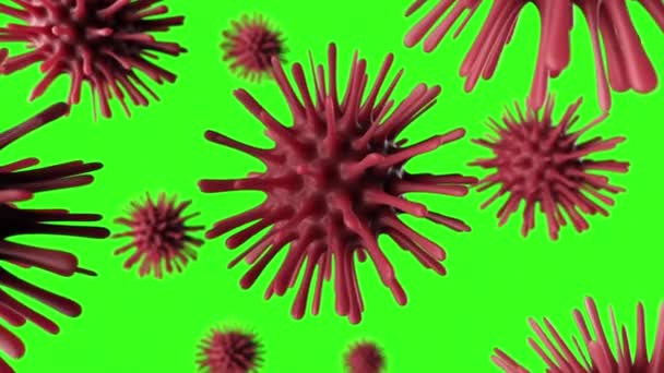 A deadly coronavirus bacterium under a microscope. Pathogen outbreak of bacterium and virus, disease causing microorganisms like the Coronavirus. Seamless loop 3d render. Green screen - Video, Çekim