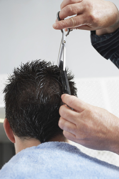 Barber cutting  hair - Photo, Image