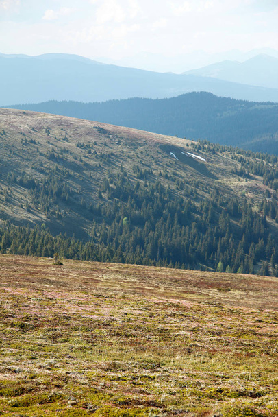 extensive landscape on a high alpine pasture - Foto, Imagen