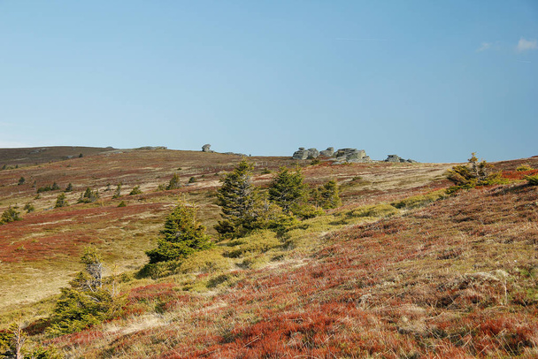 extensive landscape high on a mountain pasture in summer - Valokuva, kuva