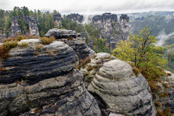 national park saxon switzerland elbsandsteingebirge bastei - Фото, изображение