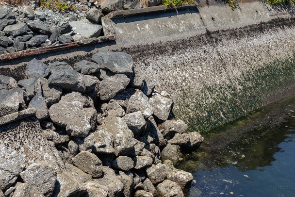 drolící se asfaltová a kamenná bariéra u vody - Fotografie, Obrázek