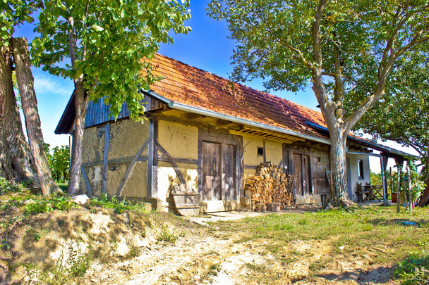 hagyományos ház fából és sár - Fotó, kép