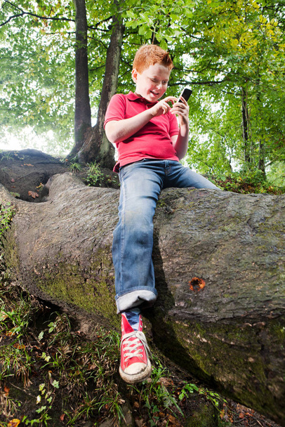 Boy sitting on a tree trunk using a mobile phone - Zdjęcie, obraz