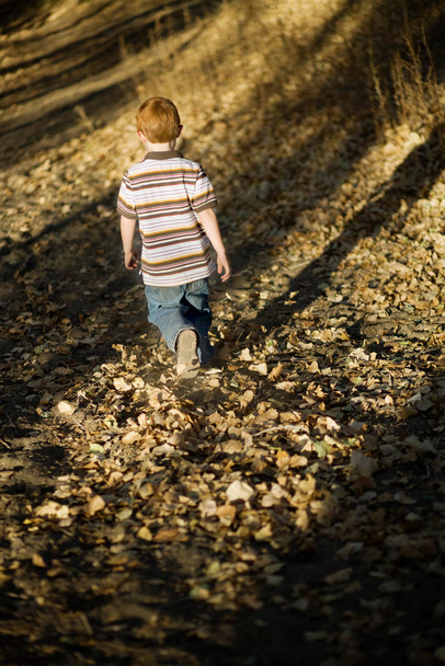 Young boy walking in leaves - Foto, afbeelding