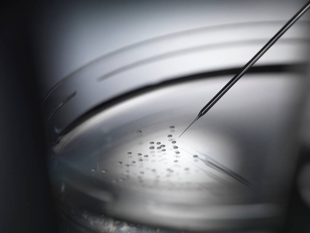 Micro pipette and cells in petri dish - Zdjęcie, obraz