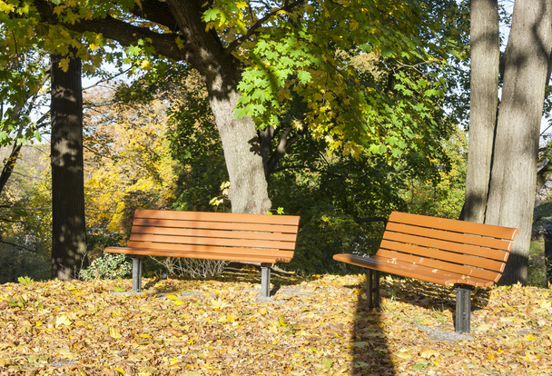 Паркові лавки восени
 - Фото, зображення