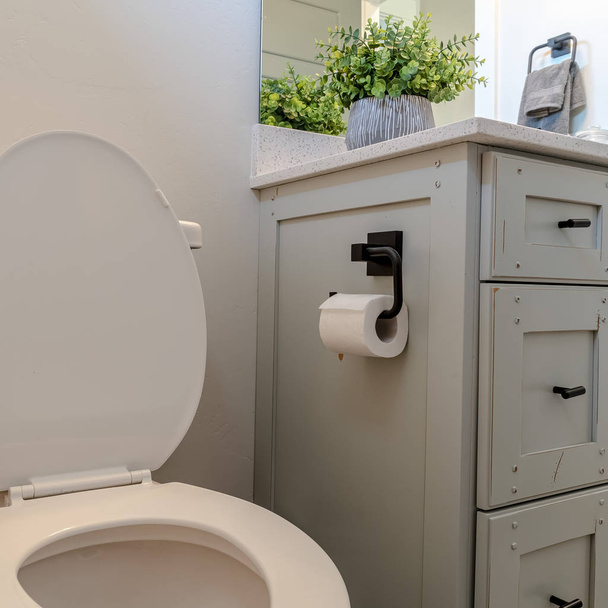 Square frame Toilet beside a bathroom vanity with cabinets white countertop and mirror - Photo, Image