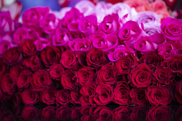 Concetto di San Valentino. Naturale rosso e rosa rose sfondo
. - Foto, immagini