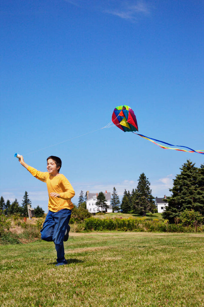 Boy flying kite at the daytime  - Fotoğraf, Görsel