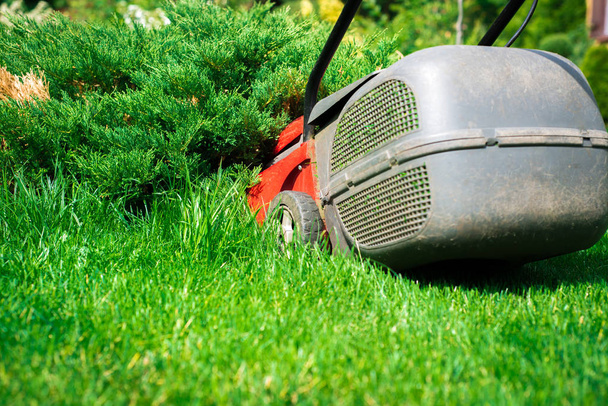 Maaien van het gras. De tuinman maait het gras met een rode elektrische maaier. Werken in de tuin, lente schoonmaak. Zorg voor de tuin en gras. - Foto, afbeelding