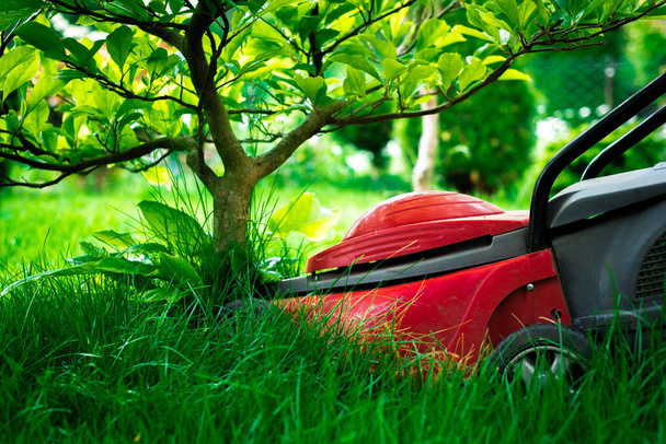 Rasenmähen. mäht der Gärtner das Gras mit einem roten Elektromäher. Arbeit im Garten, Frühjahrsputz. Pflege von Garten und Gras. - Foto, Bild